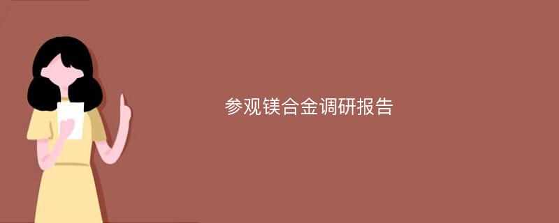 参观镁合金调研报告