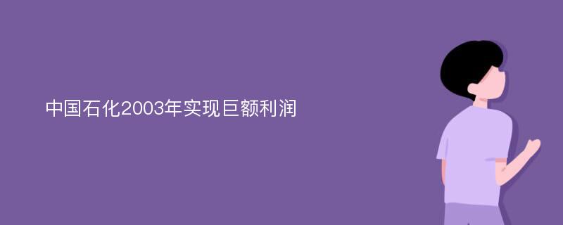 中国石化2003年实现巨额利润