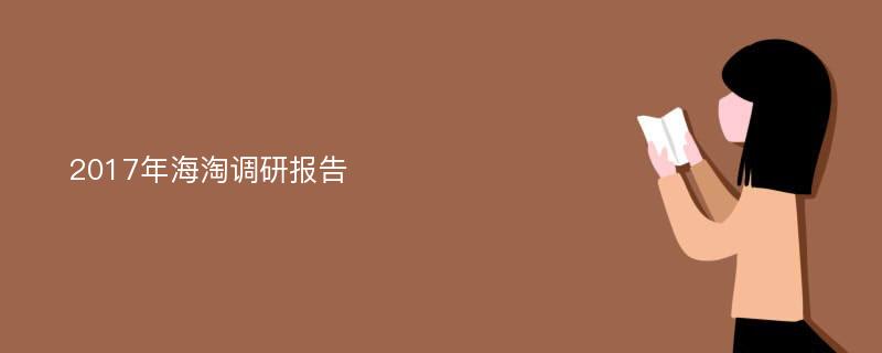 2017年海淘调研报告