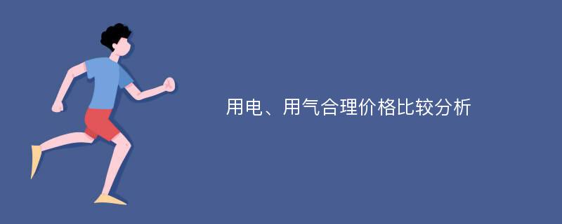 用电、用气合理价格比较分析