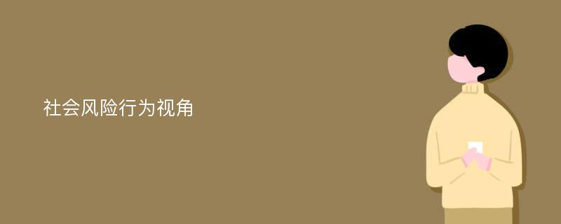 社会风险行为视角