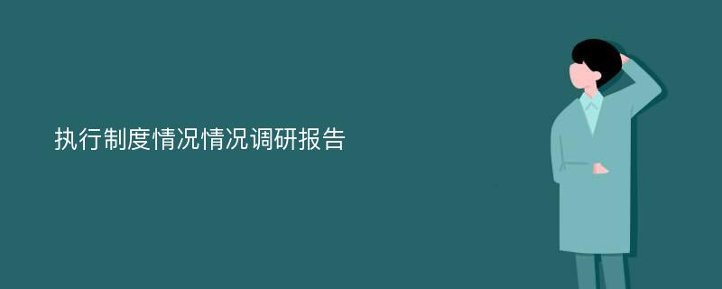 执行制度情况情况调研报告