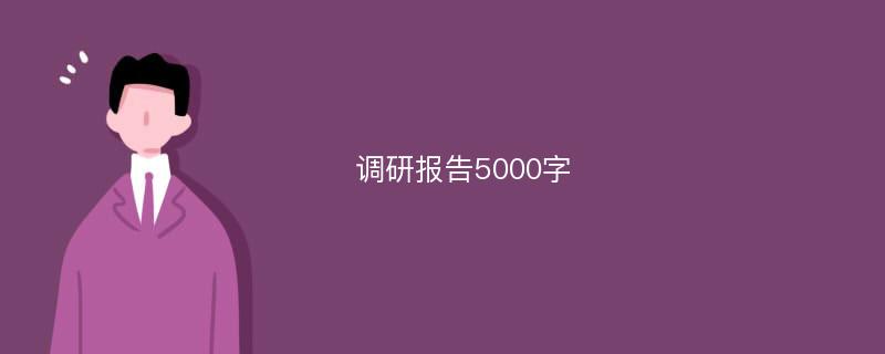 调研报告5000字