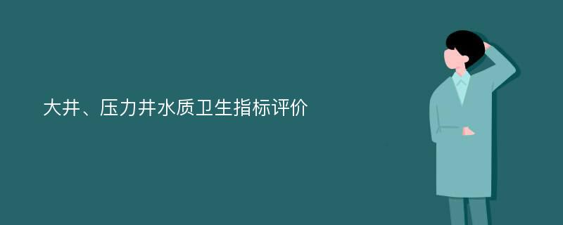 大井、压力井水质卫生指标评价