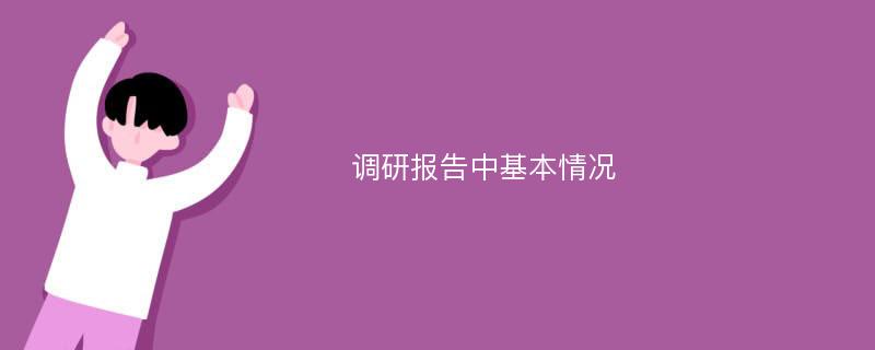 调研报告中基本情况