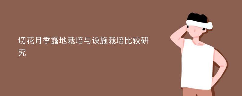 切花月季露地栽培与设施栽培比较研究