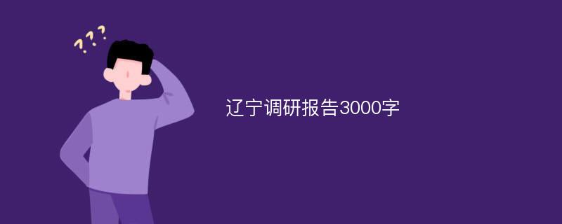 辽宁调研报告3000字