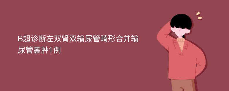 B超诊断左双肾双输尿管畸形合并输尿管囊肿1例