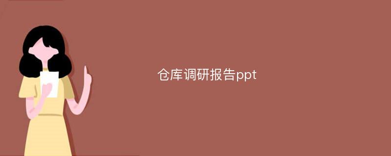 仓库调研报告ppt