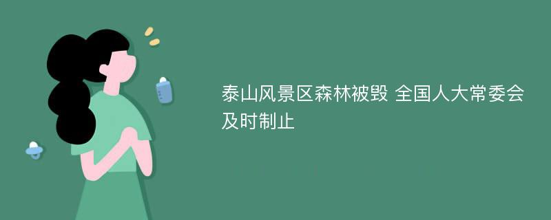 泰山风景区森林被毁 全国人大常委会及时制止