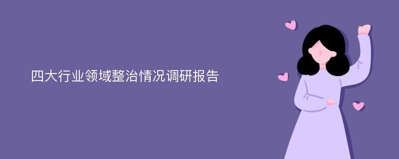 四大行业领域整治情况调研报告