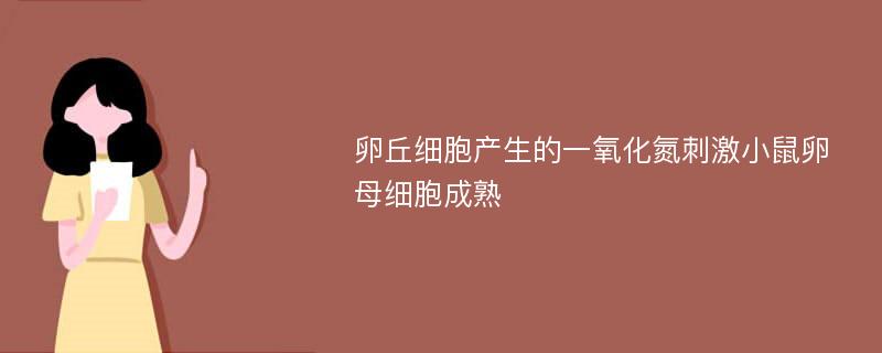 卵丘细胞产生的一氧化氮刺激小鼠卵母细胞成熟