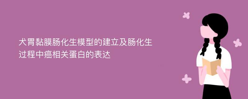 犬胃黏膜肠化生模型的建立及肠化生过程中癌相关蛋白的表达