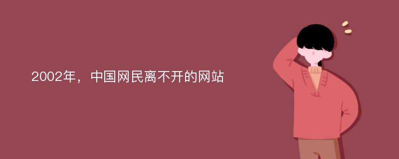 2002年，中国网民离不开的网站