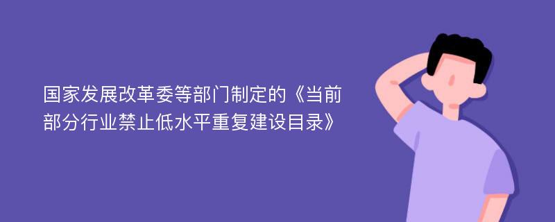 国家发展改革委等部门制定的《当前部分行业禁止低水平重复建设目录》