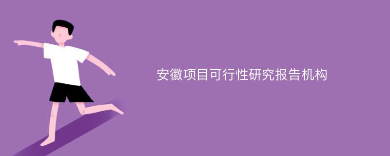 安徽项目可行性研究报告机构