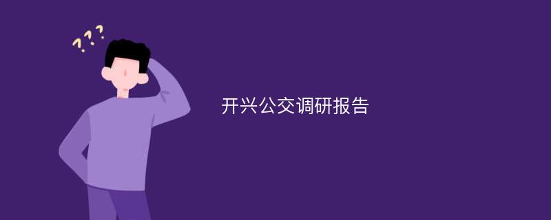 开兴公交调研报告