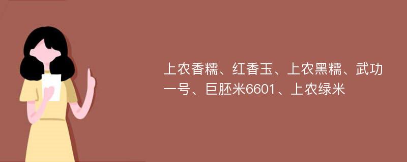 上农香糯、红香玉、上农黑糯、武功一号、巨胚米6601、上农绿米