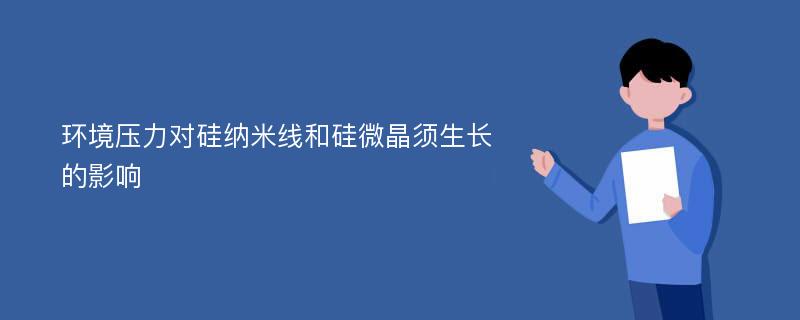 环境压力对硅纳米线和硅微晶须生长的影响