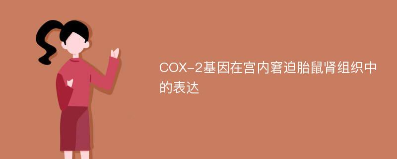 COX-2基因在宫内窘迫胎鼠肾组织中的表达