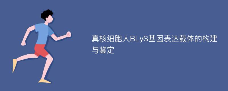 真核细胞人BLyS基因表达载体的构建与鉴定